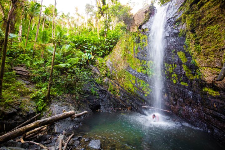 naturaleza viaje a Puerto Rico