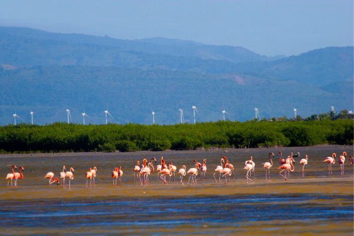 Reserva de la Biosfera Jaragua