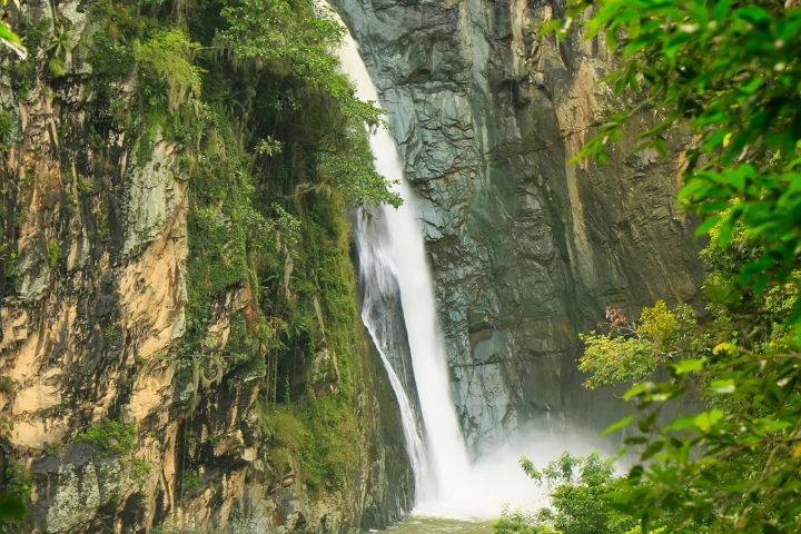 salto el limón