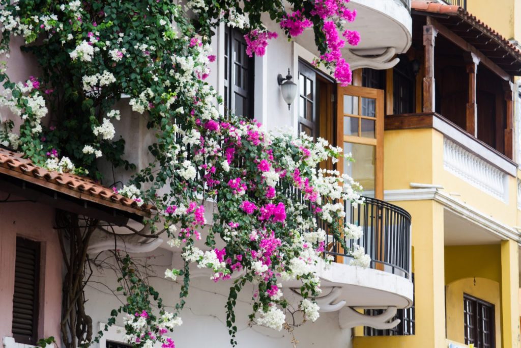 Panamá en movimiento: un viaje de sabores, cultura y paisajes salvajes