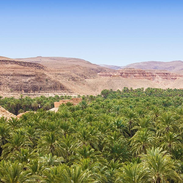 Biskra