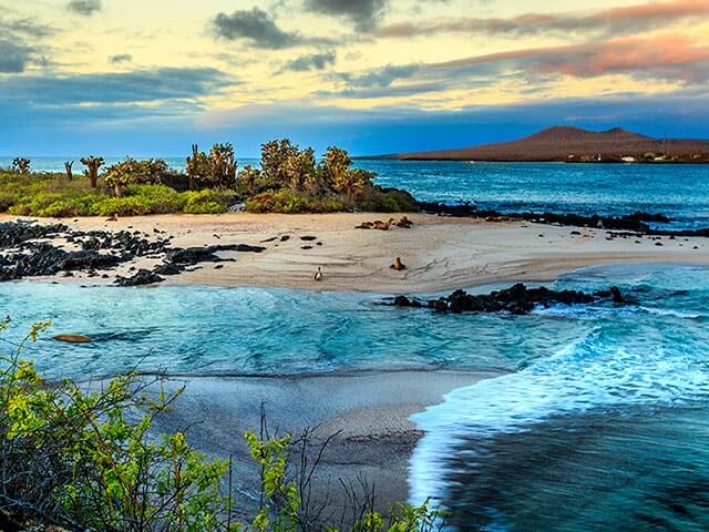 Reserva tu vuelo a Galápagos Islands con eDreams
