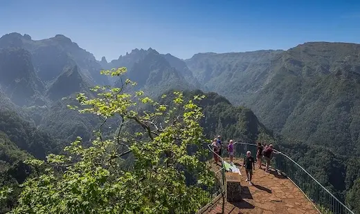 El bosque de Laurissilva