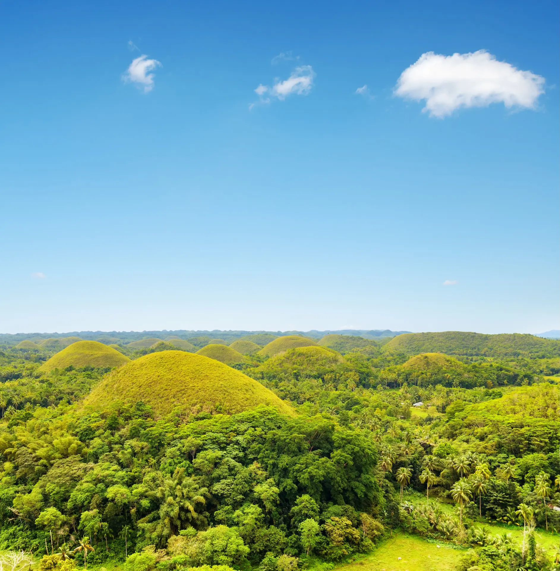 Bohol: naturaleza y cultura en su esencia