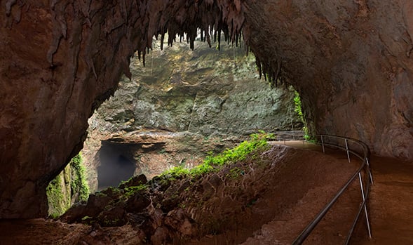 Las Cavernas del Río Camuy
