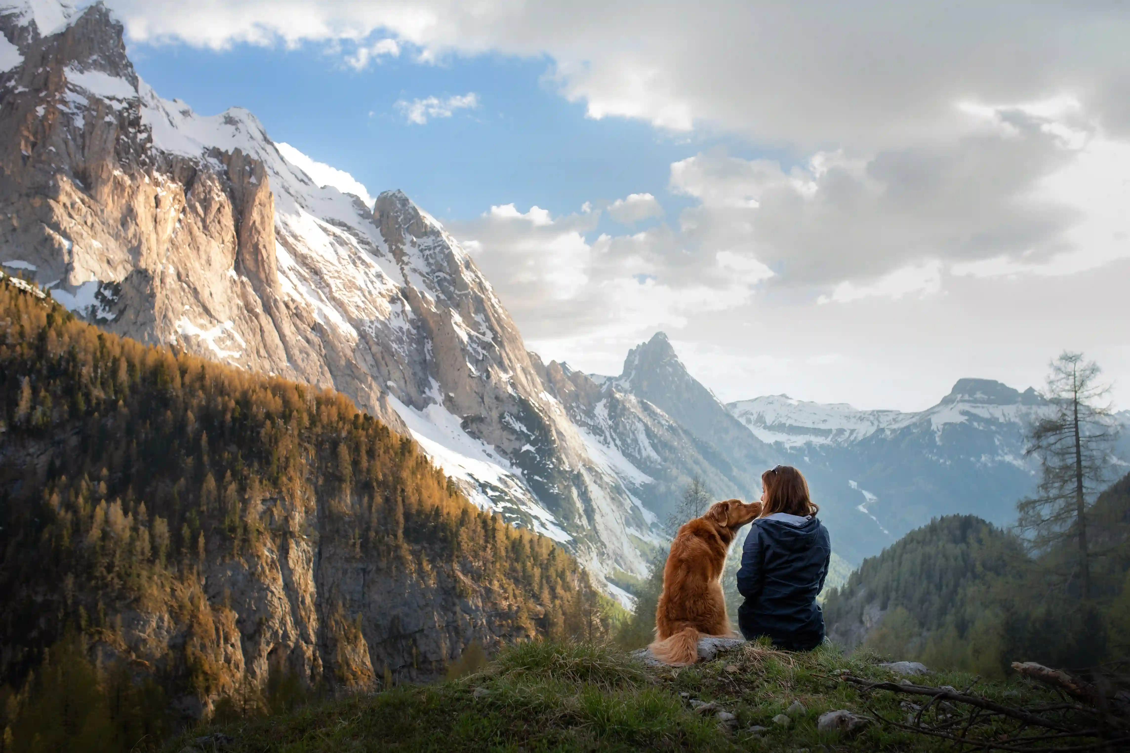 Viajar con Mascotas | Aerolíneas, Normas & Consejos